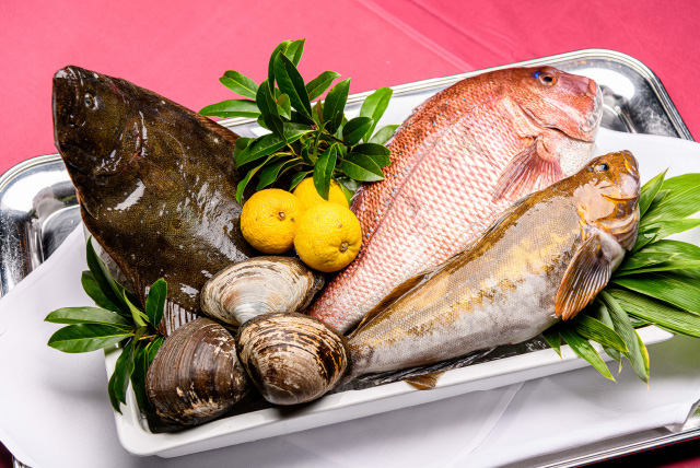 魚