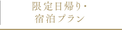 限定日帰り・宿泊プラン