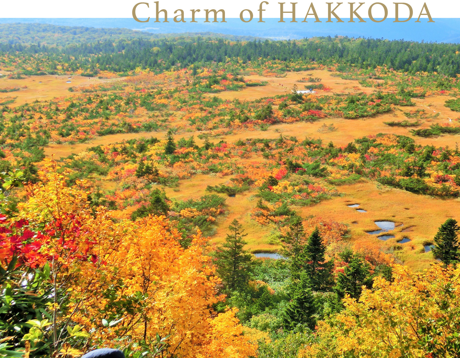 Charm of HAKKODA