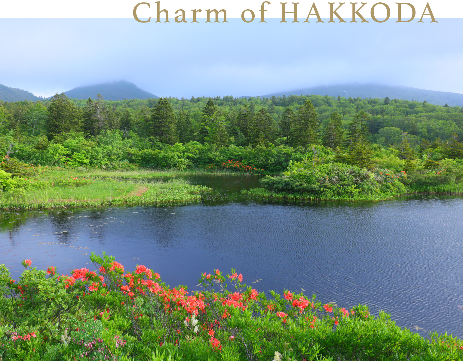 Charm of HAKKODA