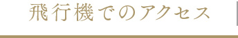 飛行機でのアクセス