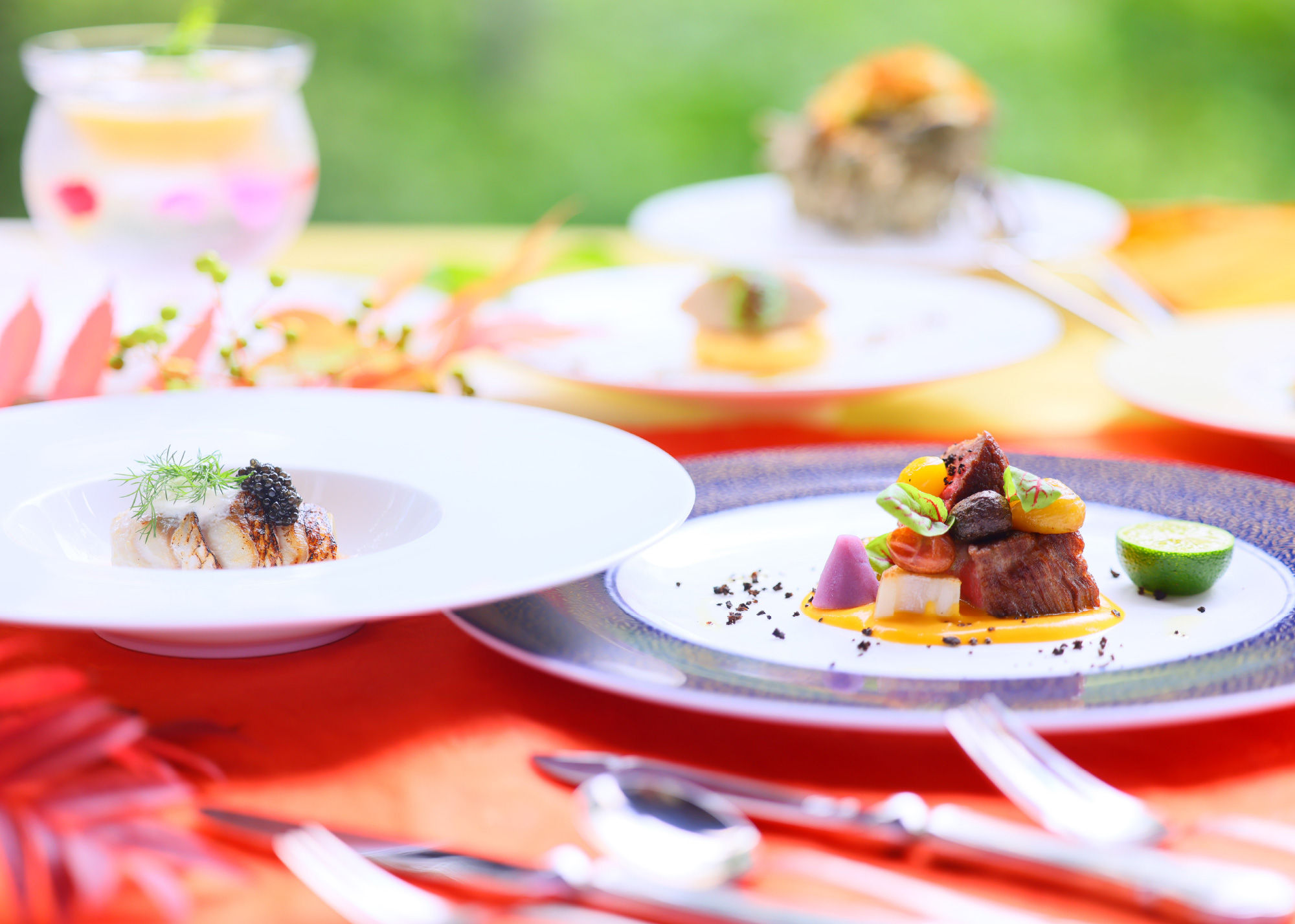 フレンチフルコース 写真