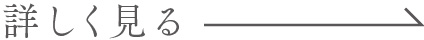 詳しく見る