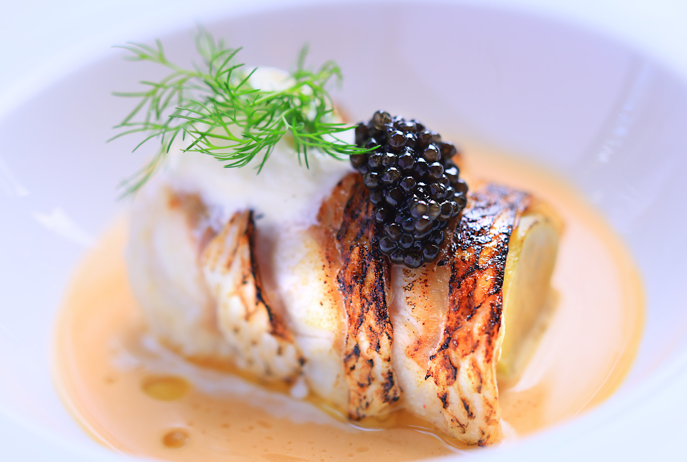 フレンチフルコース 写真